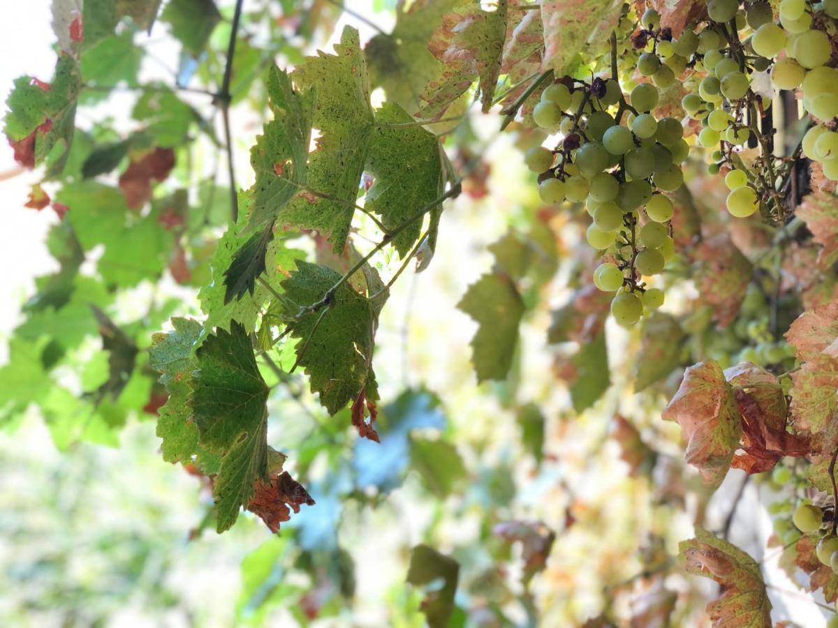 L'Antico Podere Soresina 외부 사진